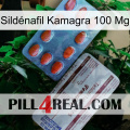 Sildénafil Kamagra 100 Mg 36